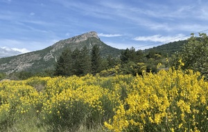 6a2bd46f3d594_imagepicker45927D91051F4B2EAC731336384E3EA93236800000390FC13E9EC.jpg