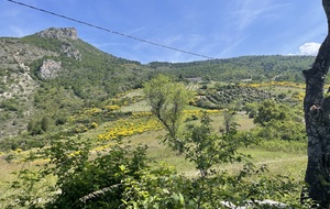 6a2c66958914c_imagepicker4B7A9014962141EEA03F7DB58521593434526000003C434CAA986.jpg