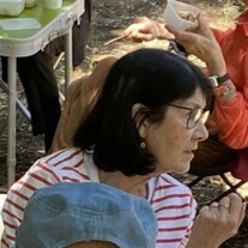 Josy Sostegni